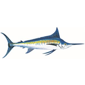 Decal Blue Marlin .84" x 2.25" (C416)