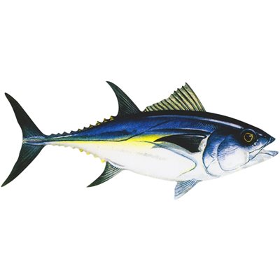 Decal Bluefin Tuna .86" x 2.00" (C437)
